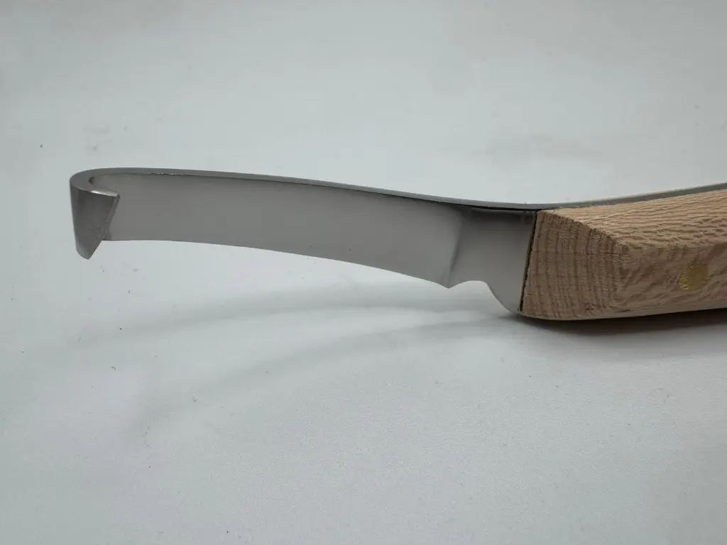 WhatsApp Image 2026-01-22 at 10.32.57 (2).webp