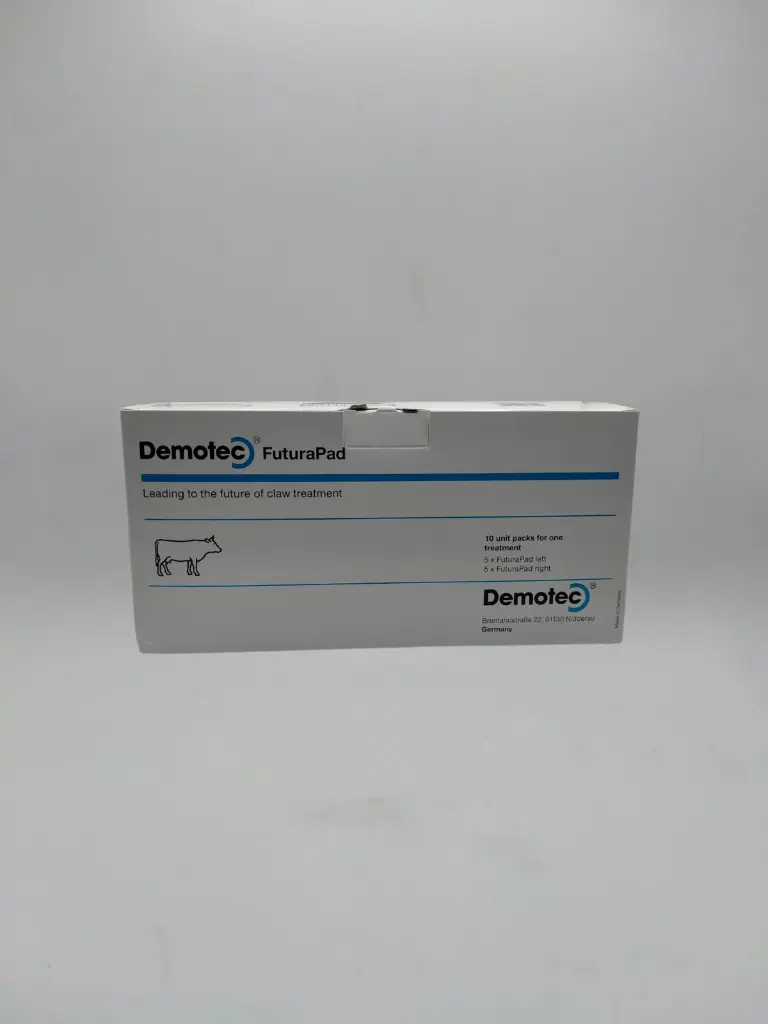 Diseño sin título (22).webp