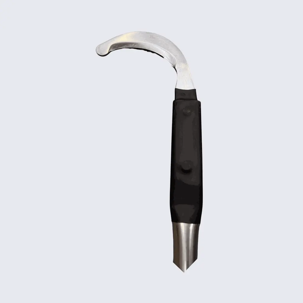 Foto Tienda online (2260 x 2260 px) - 2026-02-24T134050.689.webp